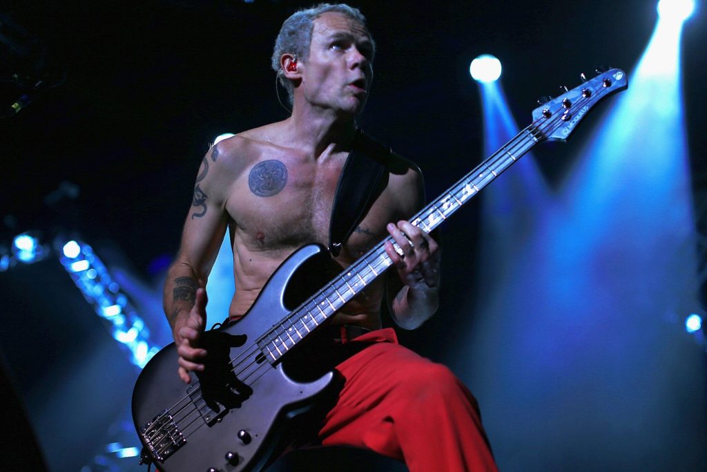 Flea Aeroplane